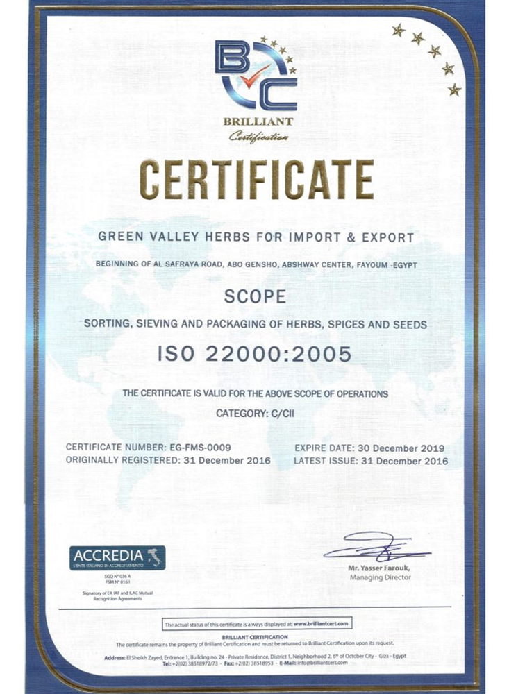 certificate iso